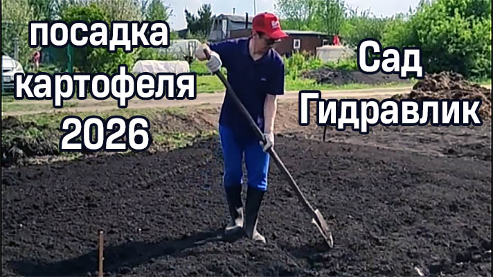 Посадка картофеля. Сад Гидравлик